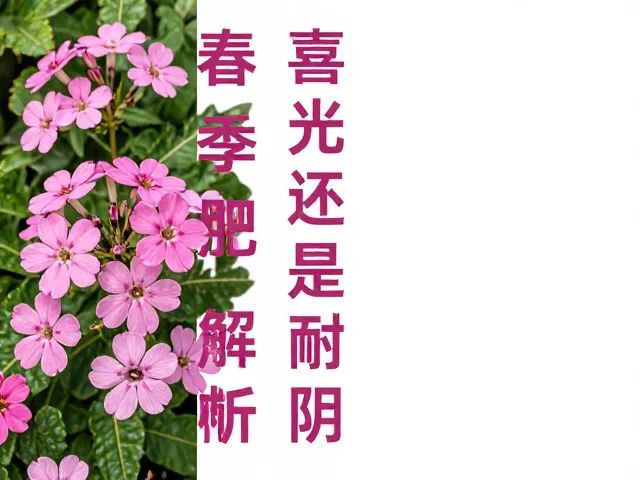 福禄考春季萌芽期施肥指南,喜光还是耐阴?全解析