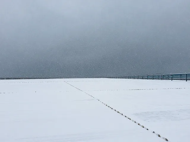 风雪天气的极限挑战与安全防护