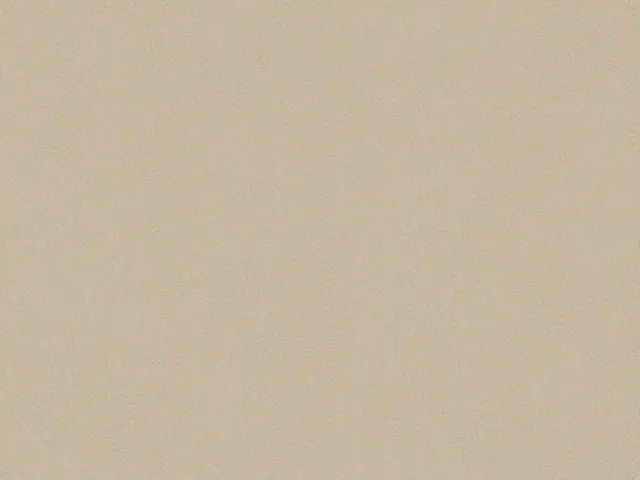 禅意清寂中的抽象肌理，自然意境与空间美学的融合探索