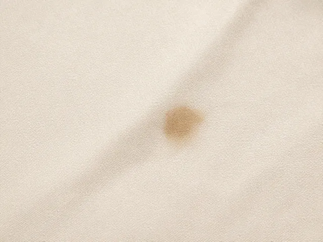局部污渍的处理与护理技巧