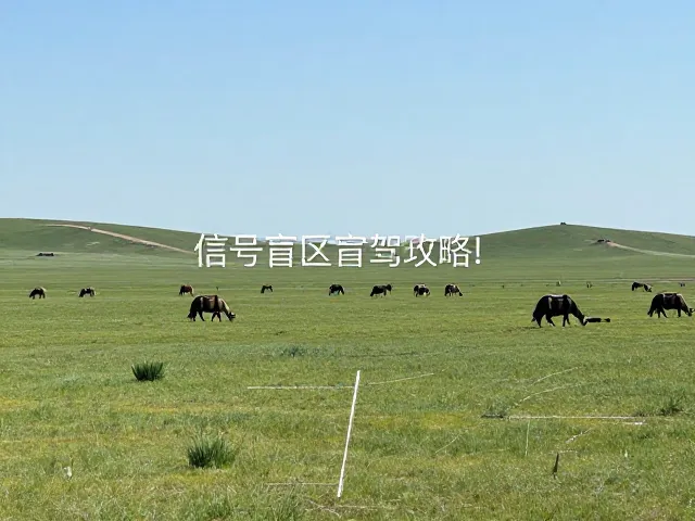 内蒙草原自驾攻略,信号盲区应对与强紫外线防护指南