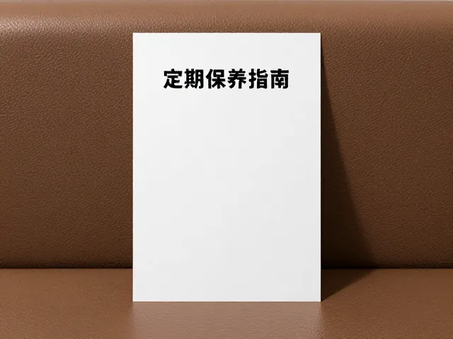前台接待选单人休闲沙发,真皮定期保养指南