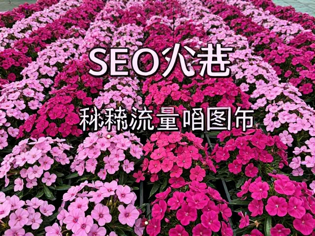 福禄考花坛中心布置技巧，花期延长秘诀与 SEO 流量优化指南