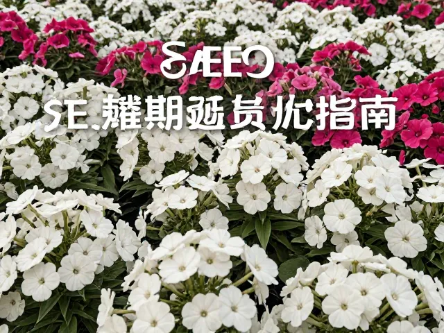 福禄考花坛中心布置技巧，花期延长秘诀与 SEO 流量优化指南