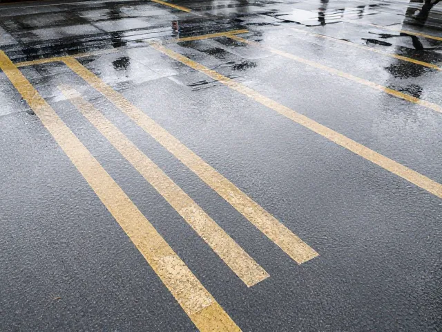 每日1-2次运动量标准,雨天防滑措施全解析