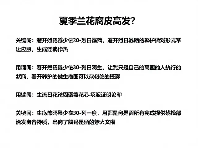 夏季兰花腐皮病高发?避开烈日暴晒,春季养护做对少生病