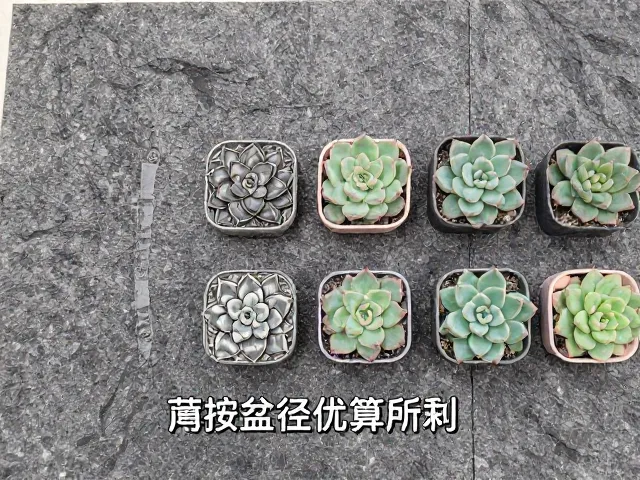 按盆径估算用量的科学方法