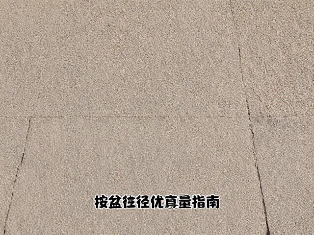 后续种植与长期维护要点