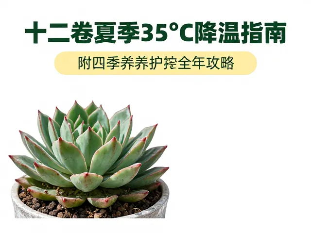 科学控水策略与土壤介质改良