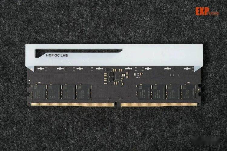 不同用户群体：玩家、创作者、办公人员