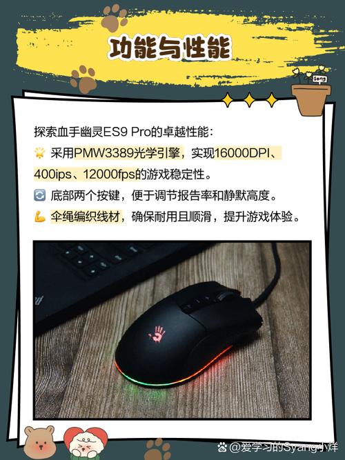 价格与价值分析图表