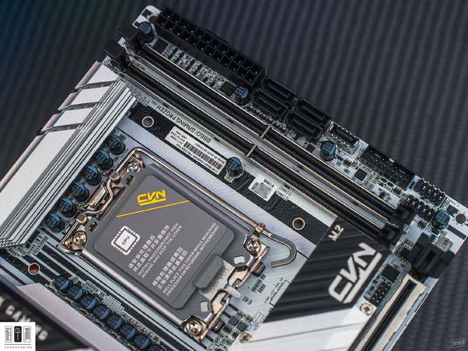 阿斯加特博拉琪 vs 美商海盗船统治者铂金 深度对比:DDR4与DDR5内存如何选?