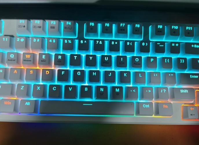 狼蛛S98 vs 惠普K10G 深度对比：客制化与经典机械键盘之争