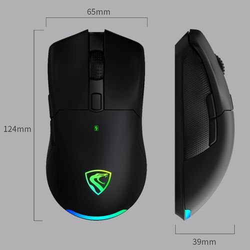 价格标签与性价比分析