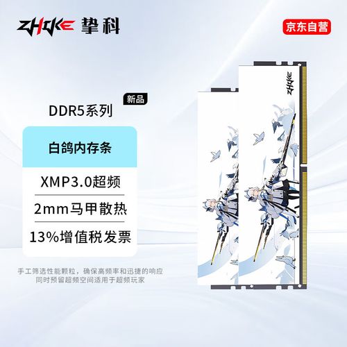 挚科白鸽 DDR5 7800 vs 记忆科技 DDR3L 1600 深度对比
