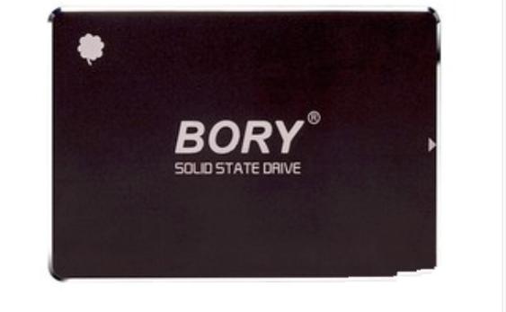 BORY R500 精英版 vs 十铨科技 MS30 深度对比：入门级固态硬盘如何选？