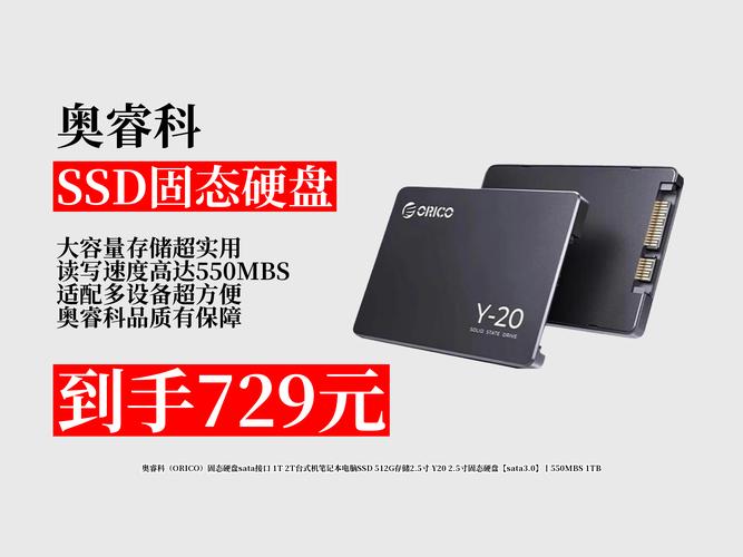 奥睿科Y20 vs 威刚XPG翼龙 S50 Lite 深度对比