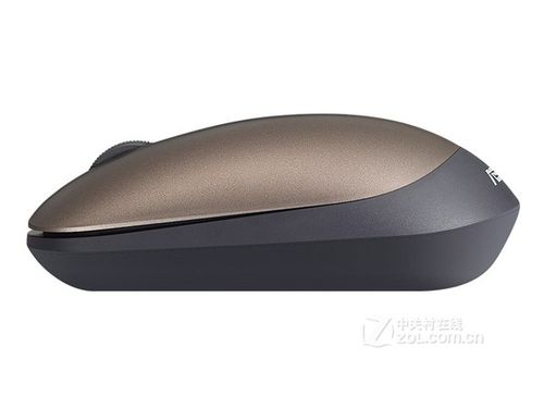 购物和产品选择的场景