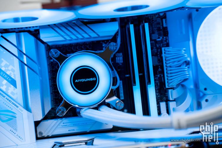 购物和性价比概念