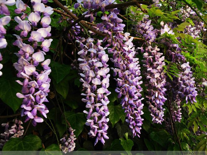 硬件规格和技术参数展示