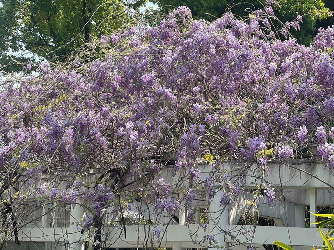 硬件产品对比和推荐图示