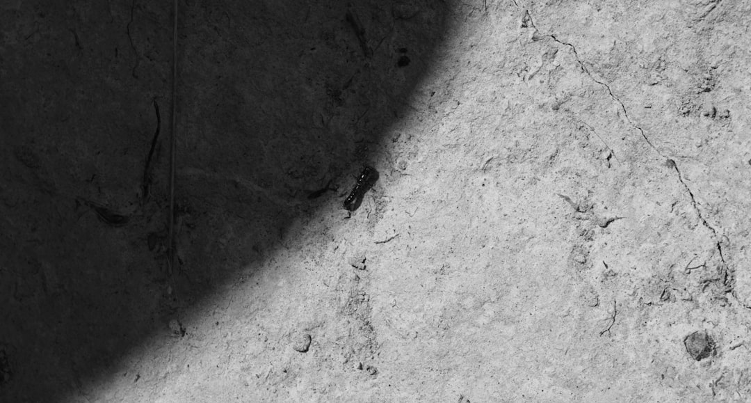 显卡散热风扇特写