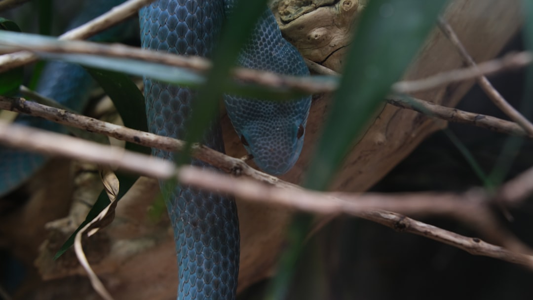 鼠标磨砂材质细节