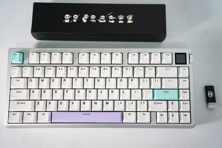 玄派PD75M-V2 vs 飞利浦SPK8605 深度对比：客制化机械键盘与全尺寸游戏键盘的较量