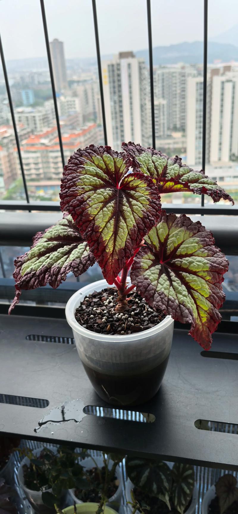 键盘性能测试场景