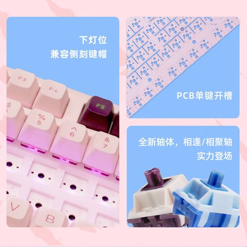 价格与性价比分析图表