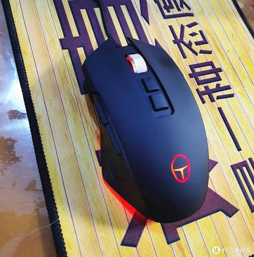 person choosing between two computer mice