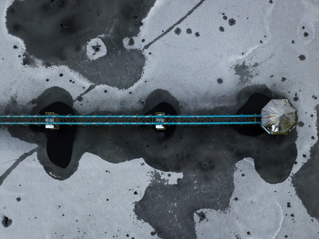 狼蛛S98有线版 vs 维咖Lucky65 V2 深度对比