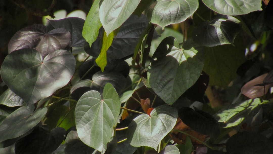 用户选择电脑外设场景