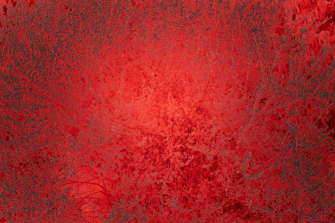 购物与预算规划