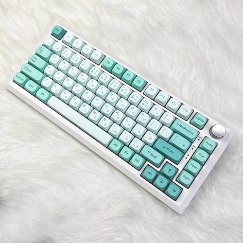 多款键盘并排摆放，展示不同布局和设计