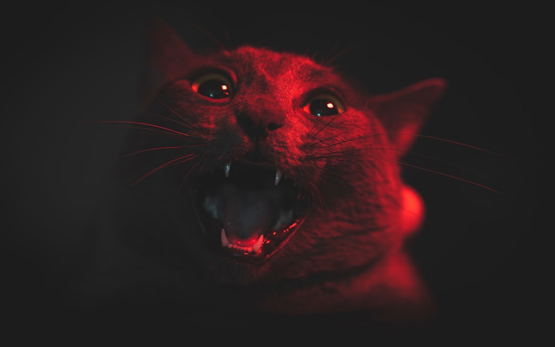 价格与性价比分析图表