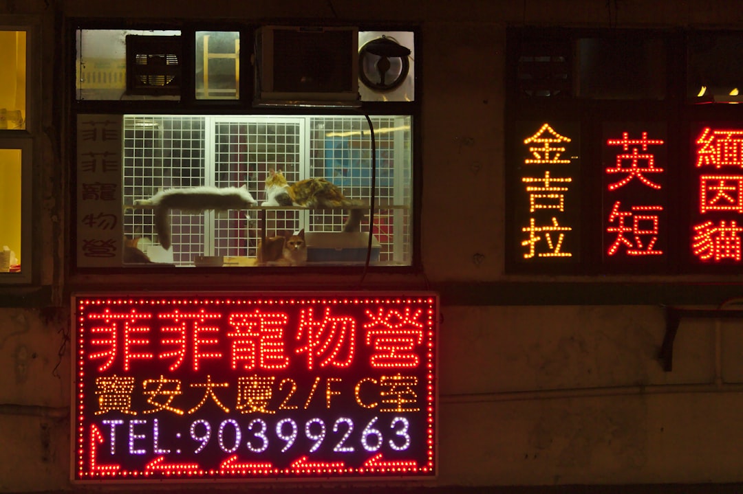 价格与性价比分析图表