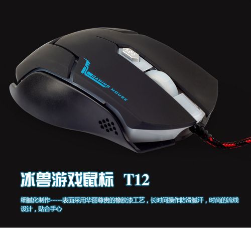 价格与性价比分析图表