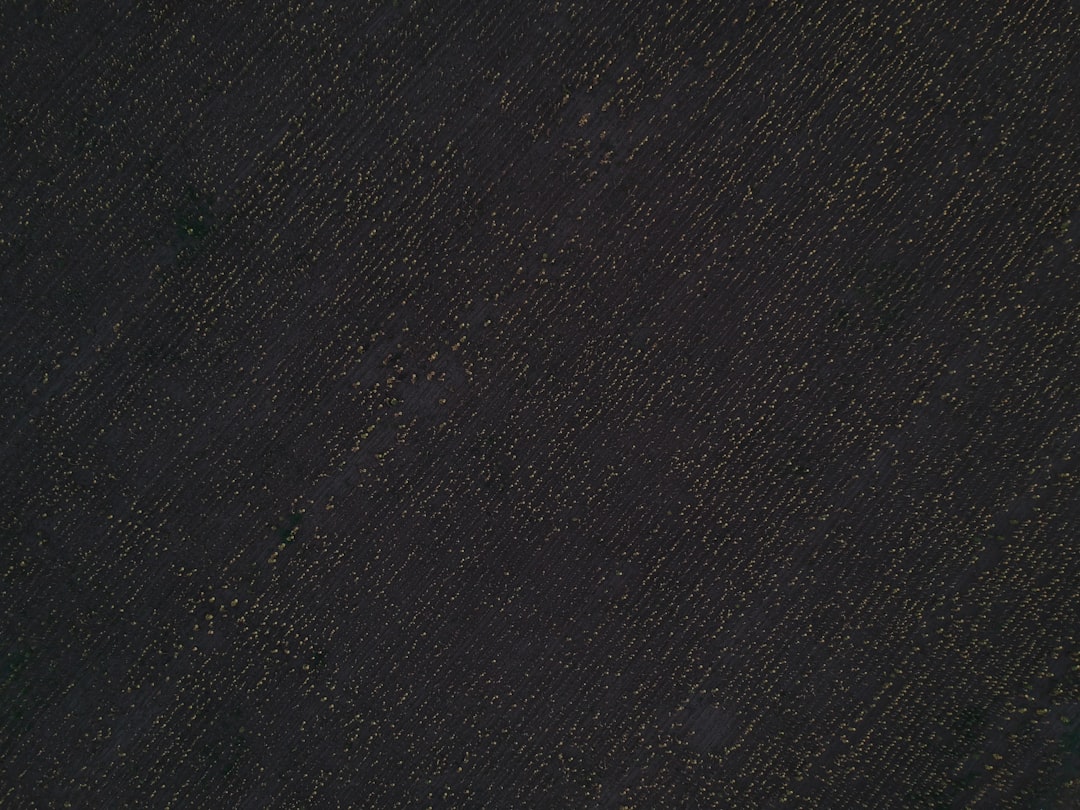 电脑主板上的内存插槽特写，展示技术细节