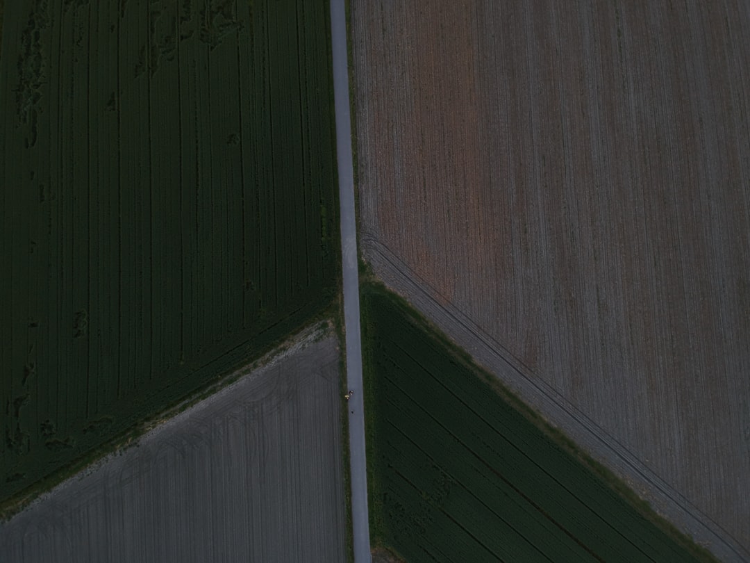 gaming setup with monitor and graphics card