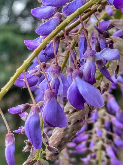 购物车和选择箭头，象征选购决策