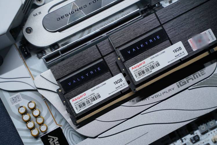 购物车或价格标签图像，象征购买决策