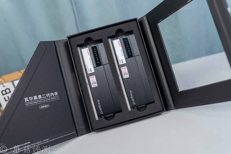 游戏运行场景，体现内存对帧率稳定性的影响