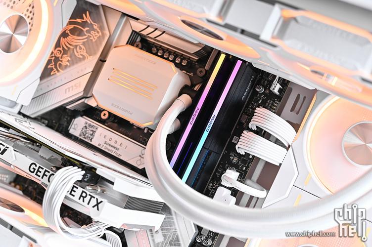 内存规格标签特写，展示频率和时序参数