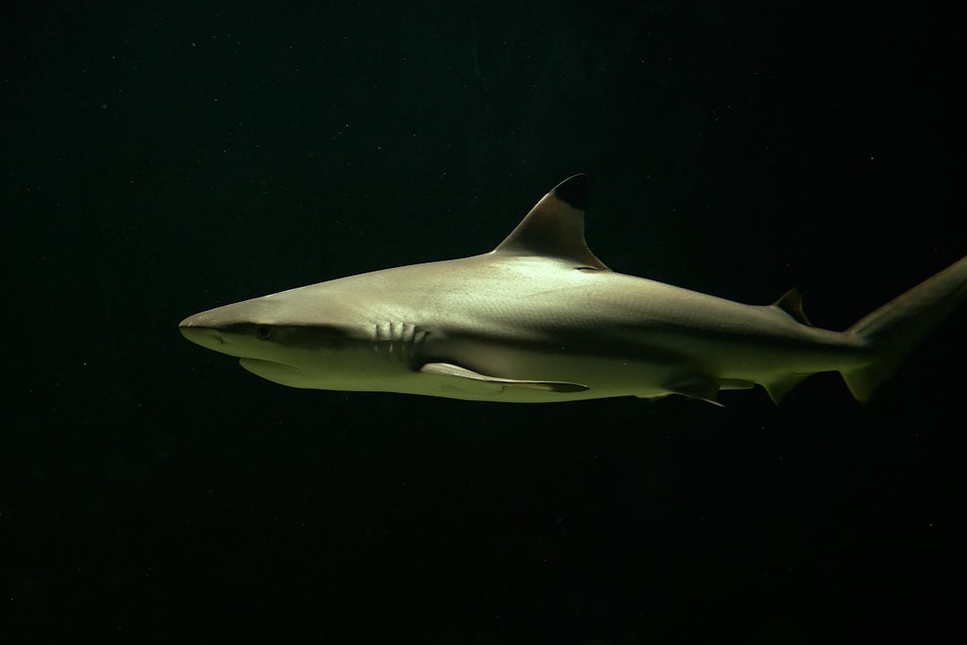 高速数据传输示意图