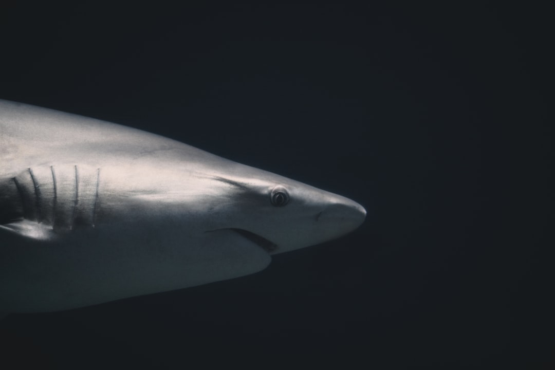 电脑组件排列展示