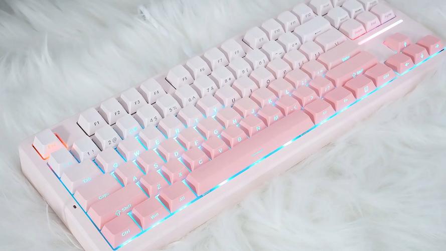 前行者X87 vs 狼派LM84 vs reccazr S87pro 深度对比