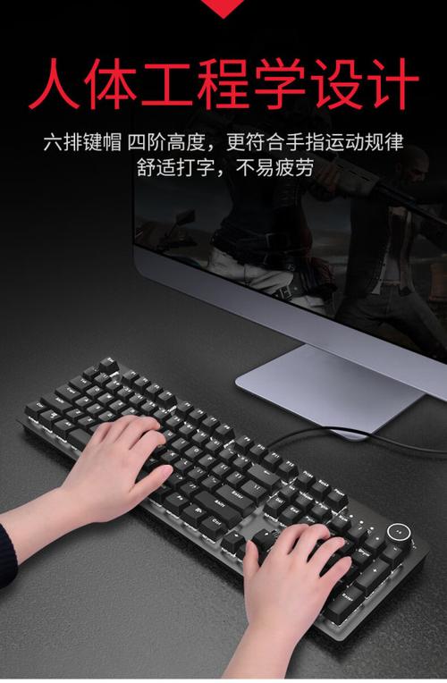 机械键盘轴体细节示例