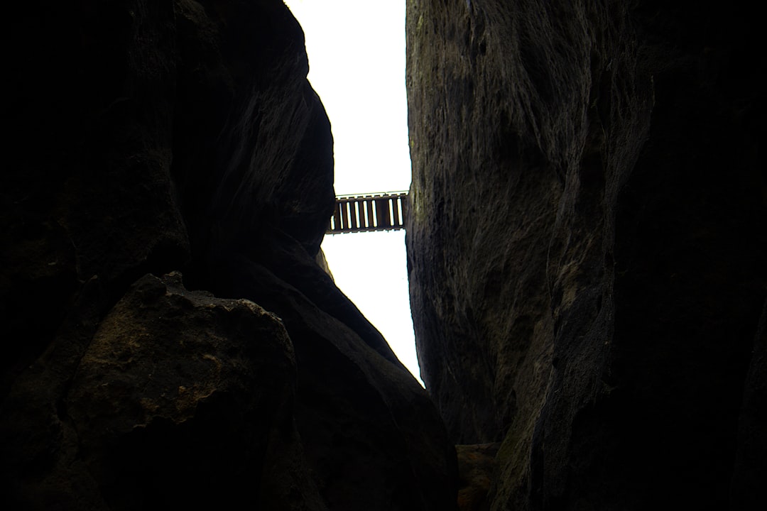 鼠标侧视图展示人体工学