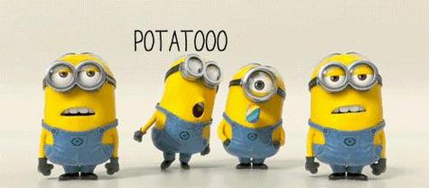 购买决策和产品对比